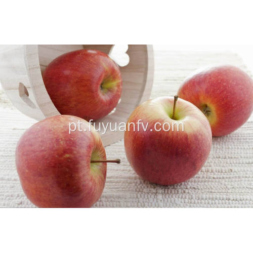 2018 New Fresh Qinguan maçã com alta qualidade